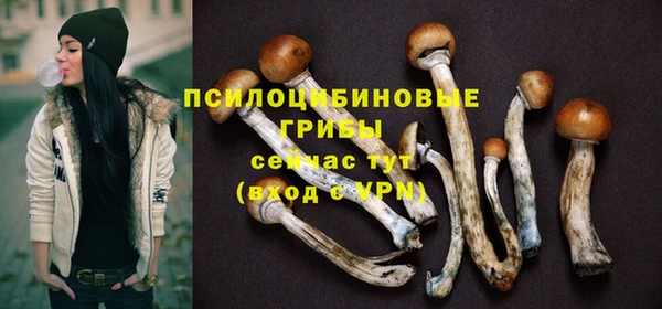 PSILOCYBIN Вязьма